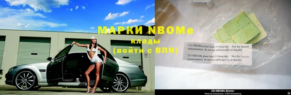 круглые Алзамай