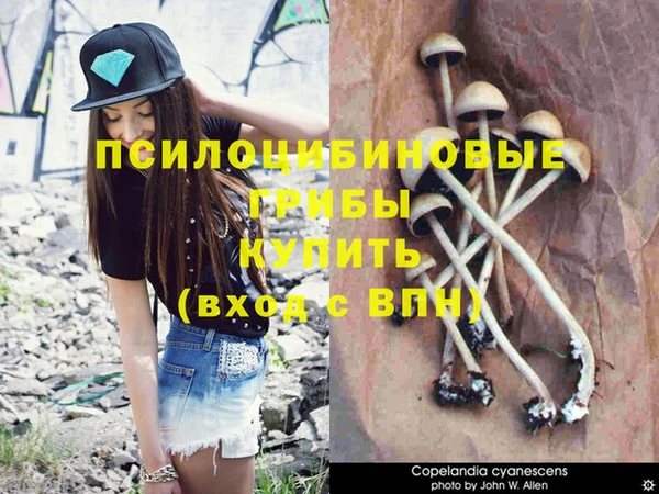 круглые Алзамай