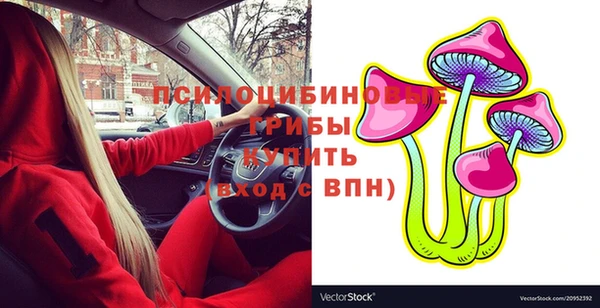 прущий лед Алексин