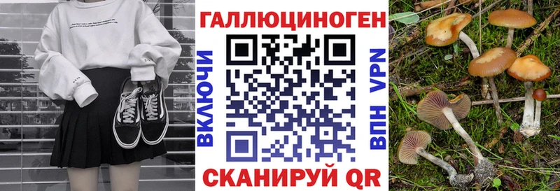 кракен зеркало  Бирск  Галлюциногенные грибы мицелий 