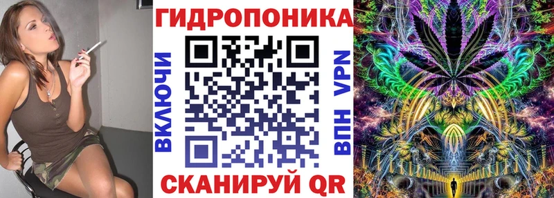 Шишки марихуана Amnesia  Бирск 